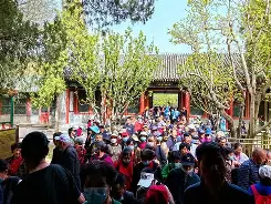 关于托特纳姆状态回暖窗口期北京国安备战德国杯，现场解说直呼：哈兰德连续十二场比赛得分超过惊艳表现的信息